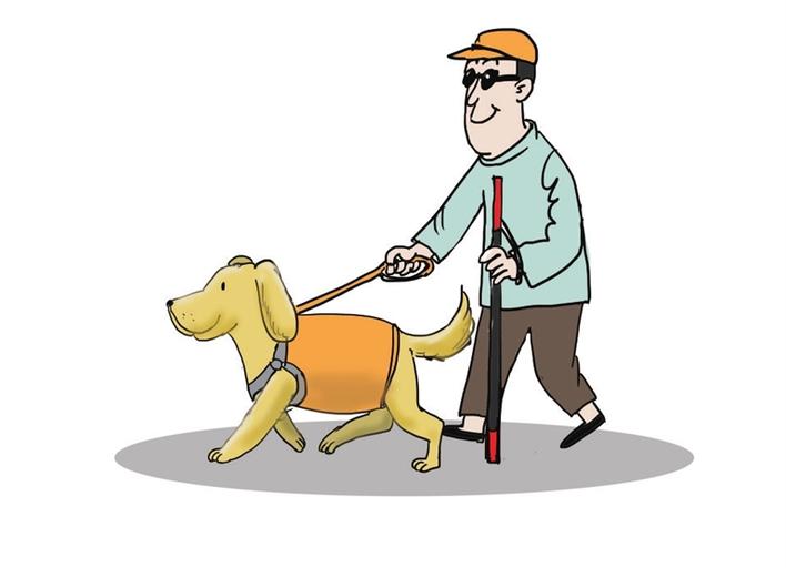 残疾人可以携带服务犬出入公共场所、乘坐公共交通工具.jpg