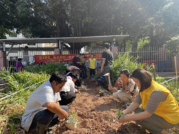 将花苗移栽到农疗基地，驱散焦虑迎接阳光
