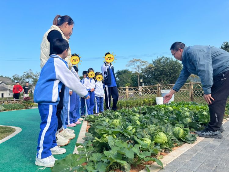 共建爱心花园，大鹏新区残疾儿童园艺疗愈项目启动2.jpeg