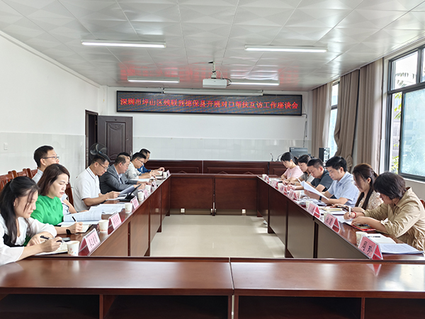 坪山区残联到德保县开展对口帮扶互访工作座谈会
