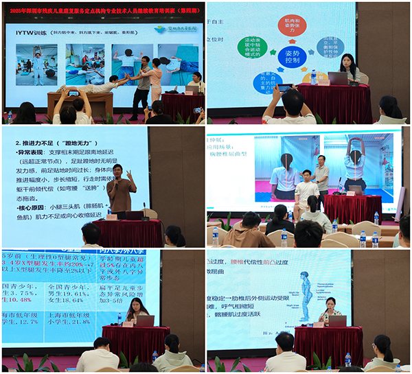 图:培训授课中 图:培训授课中