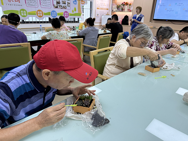 图：残疾人自己动手栽培多肉