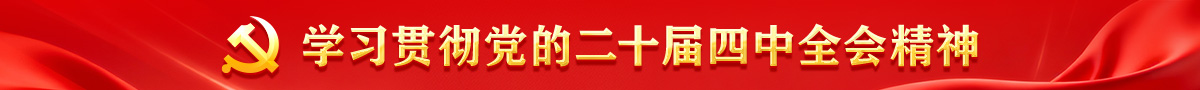 学习贯彻党的二十届四中全会精神