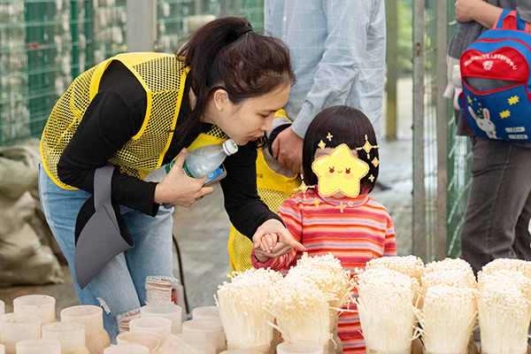 图：蘑菇探秘课堂