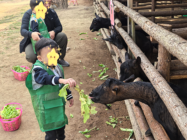 图：喂养小动物