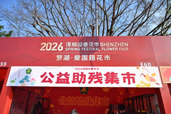 20260209图片1.png