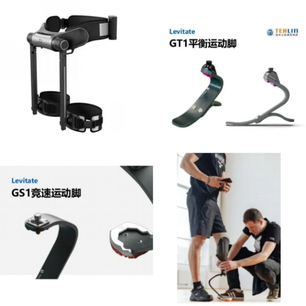 1-科技助残&middot;爱满梧桐 _ 2026年梧桐山毛棉杜鹃花会公益助残活动即将启幕.png