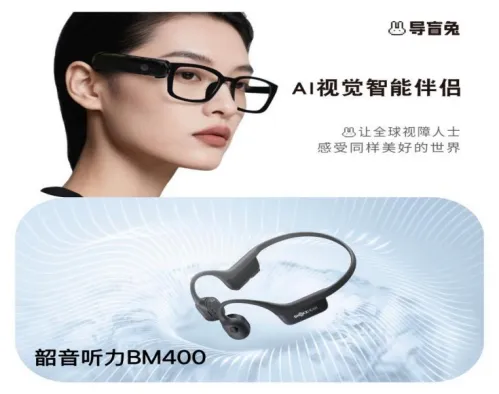 2-科技助残&middot;爱满梧桐 _ 2026年梧桐山毛棉杜鹃花会公益助残活动即将启幕.png