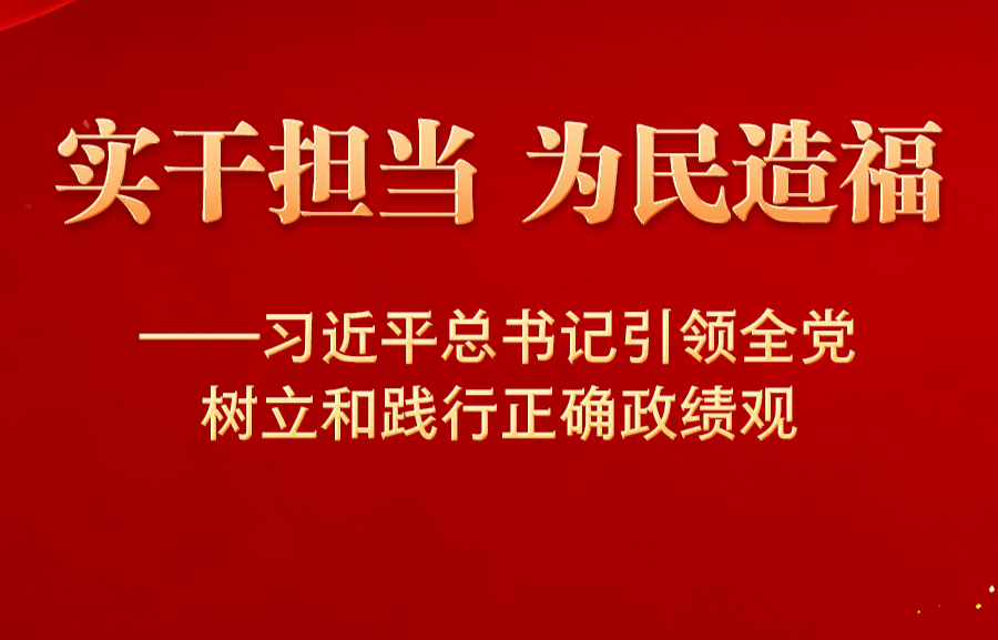 实干担当 为民造福——习近平总书记引领全党树立和践行正确政绩观