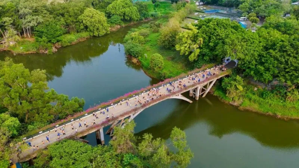 8-奔跑点亮孤独症人士融合之路 ——龙华区举办第十九个世界孤独症关注日健康公益跑活动.png