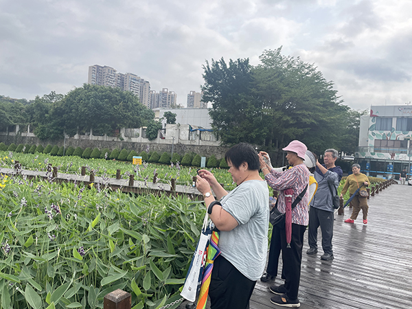 图：残疾人认真学习构图，用镜头记录身边的美好