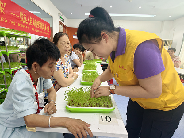 图：社工指导适度喷水，预防豆种发霉