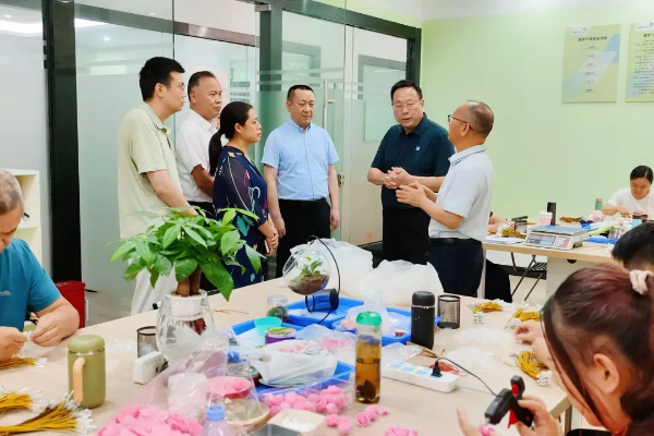 广东省残联一行莅临宝安区调研残疾人教育就业工作.png