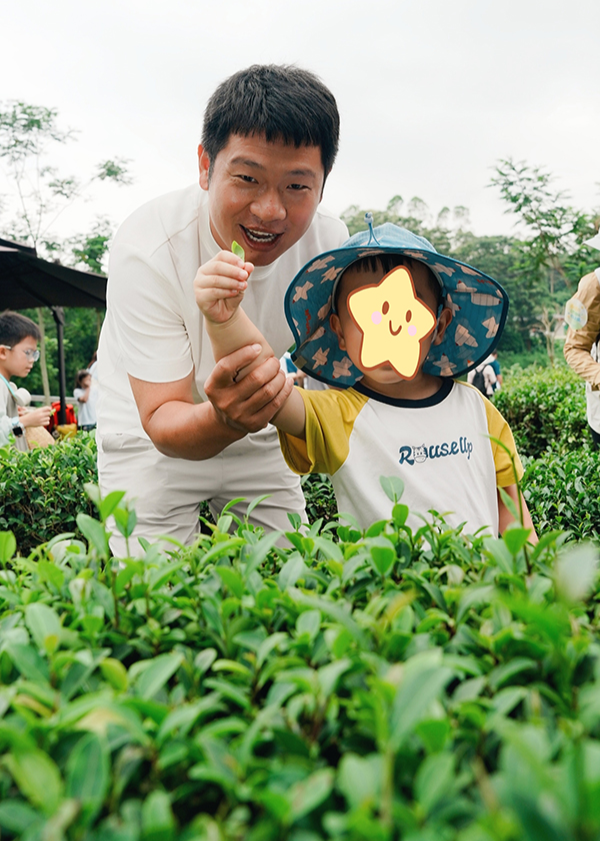 图：亲子采茶