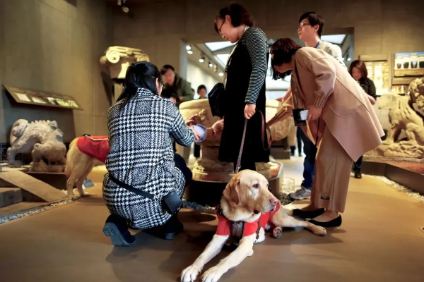 4-让残疾人实现观展无障碍！这场变革正在博物馆里悄悄进行.png