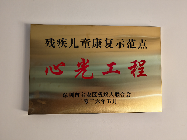 宝安区“心光工程”残疾儿童康复示范点挂牌成立.jpeg