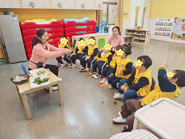 主题教学活动