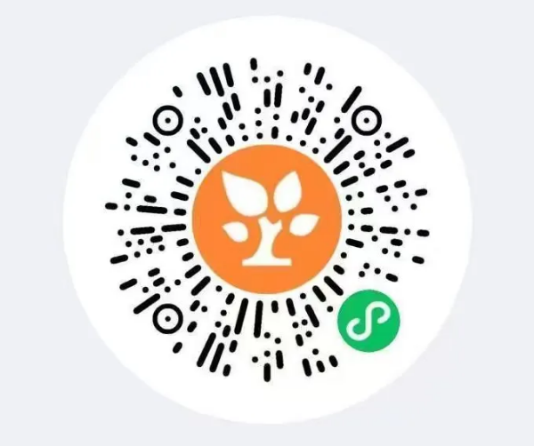 深圳市户籍报名二维码