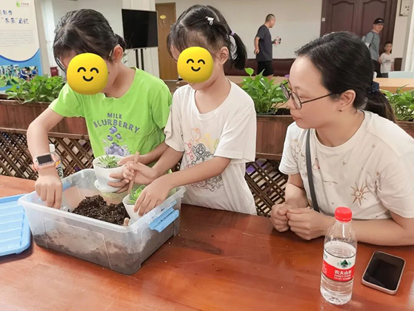 体验多肉盆栽种植