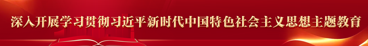 深入学习贯彻习近平新时代中国特色社会主义思想主题教育